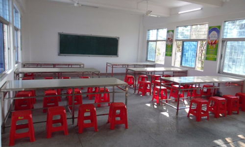 惠州启发健康管理咨询服务中心与淘学培训综合评测